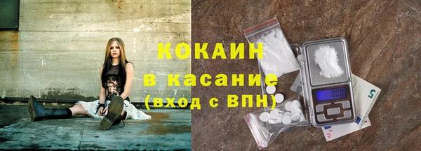 сатива Алексеевка
