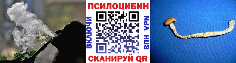 закладка Мирный Галлюциногенные грибы GOLDEN TEACHER
